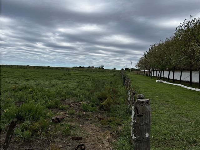 place photo 31