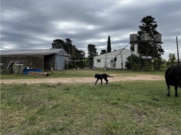 place photo 35