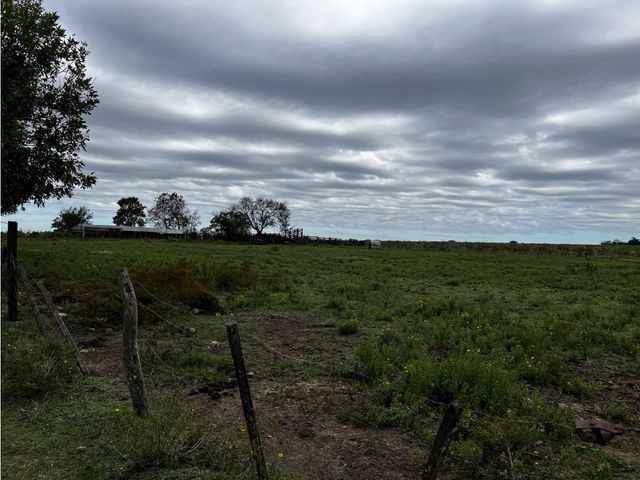 place photo 33