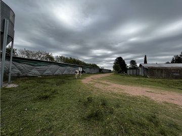 place photo 10