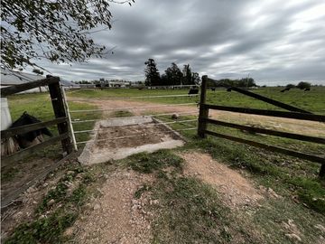 place photo 29