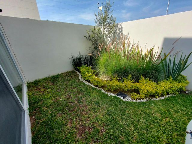 place photo 34