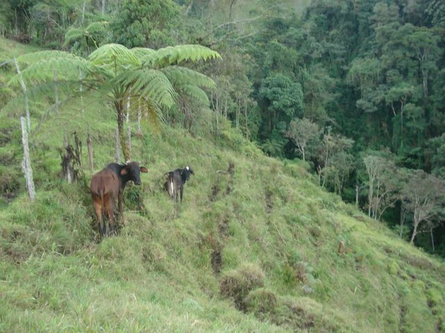place photo 24