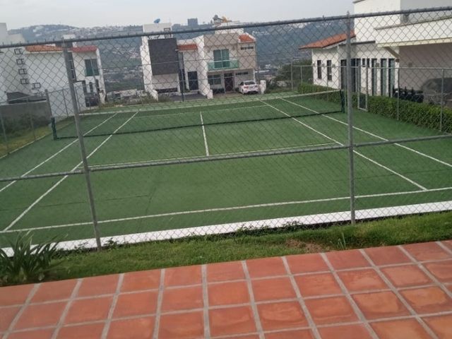 place photo 34