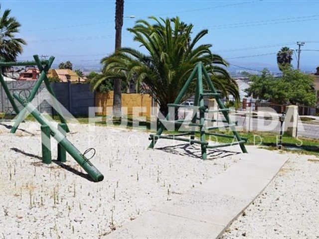 place photo 21