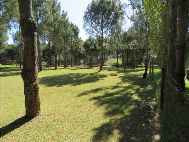 place photo 39