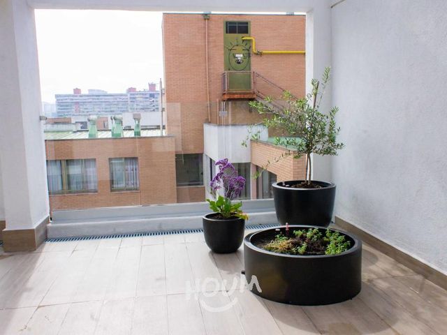 place photo 42