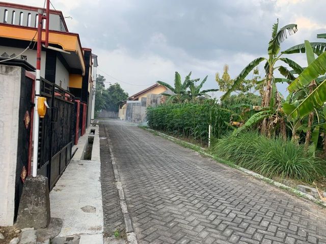 place photo 3
