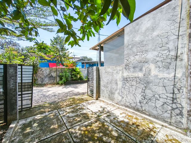 place photo 30