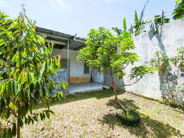 place photo 22