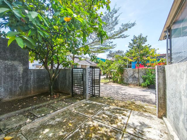 place photo 28