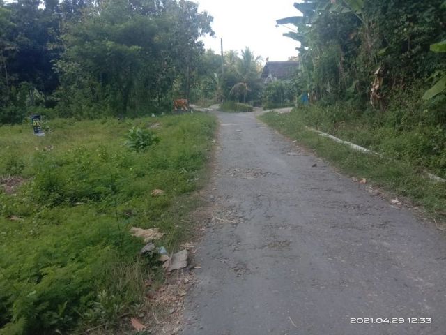 place photo 4