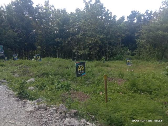 place photo 5