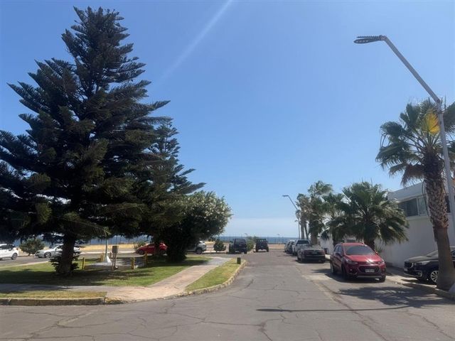 place photo 48