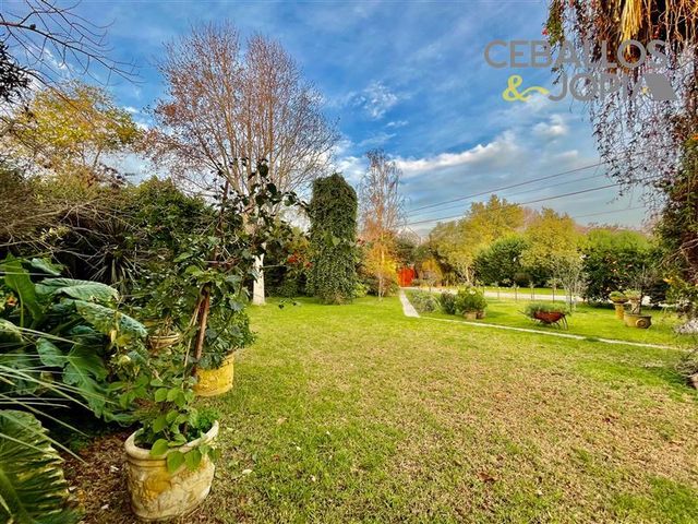 place photo 44