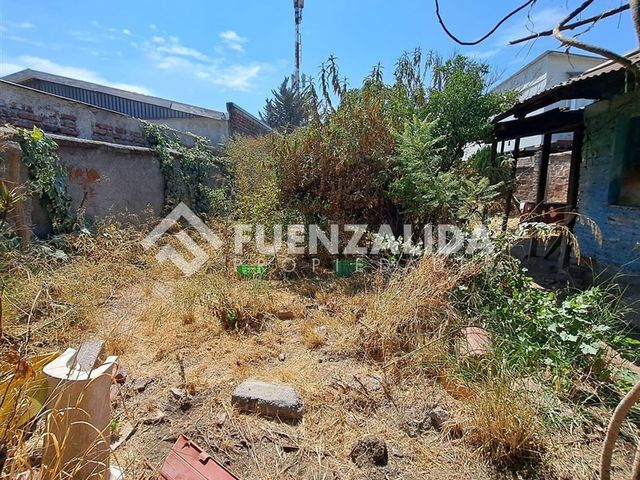 place photo 22
