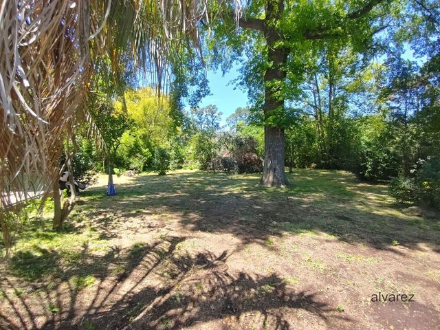place photo 33