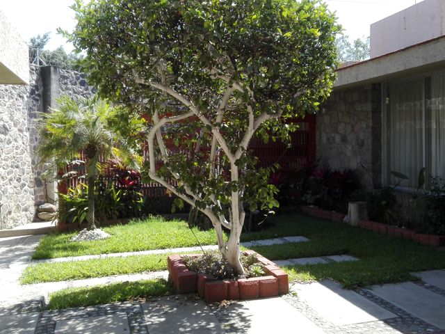 place photo 24