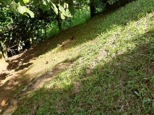 place photo 46