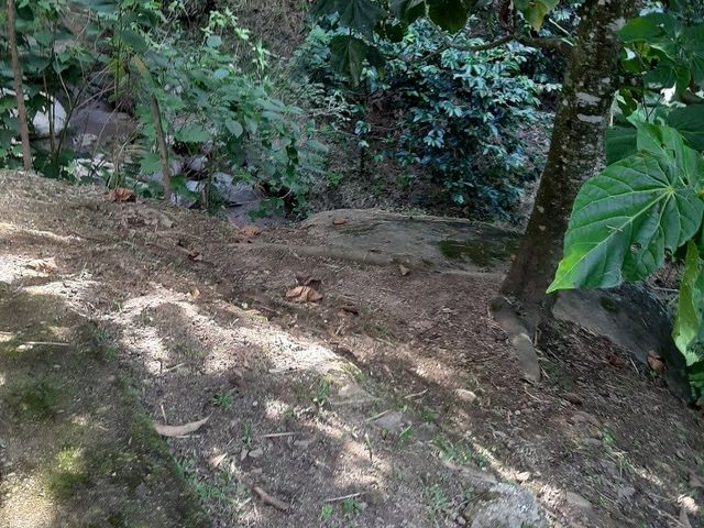 place photo 44