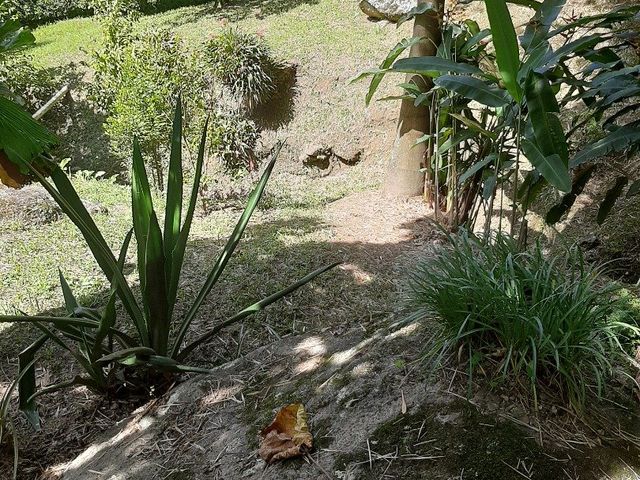 place photo 37