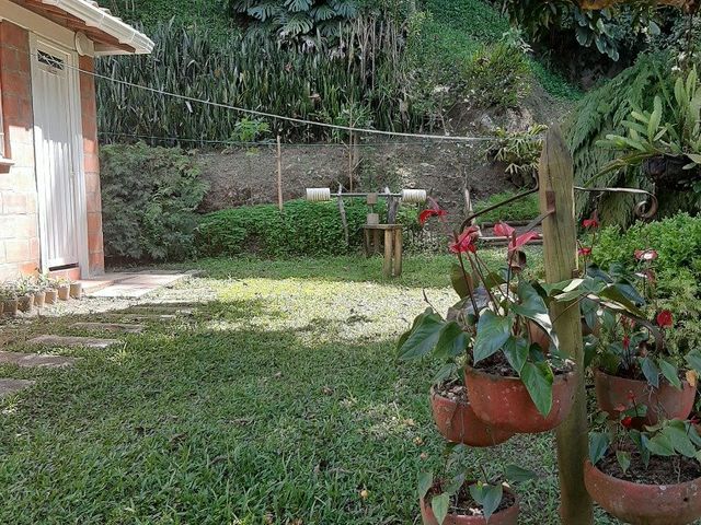 place photo 30
