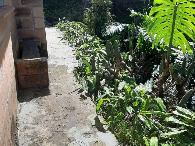 place photo 40