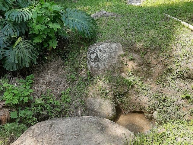 place photo 39