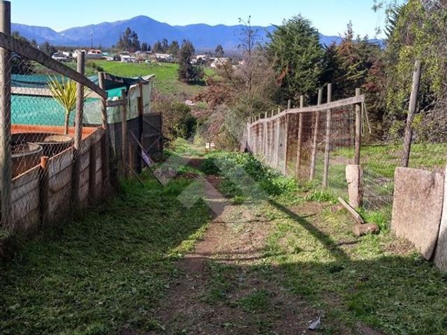 place photo 35