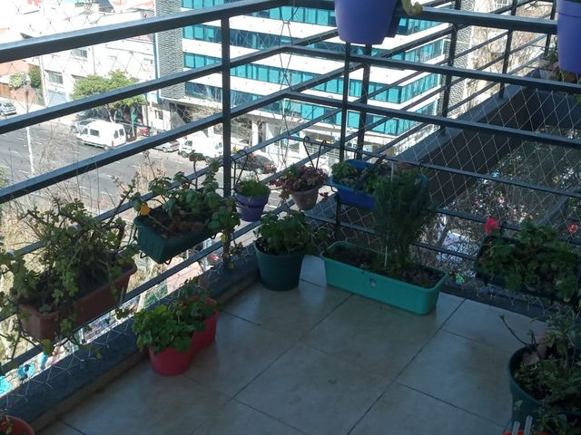 place photo 16