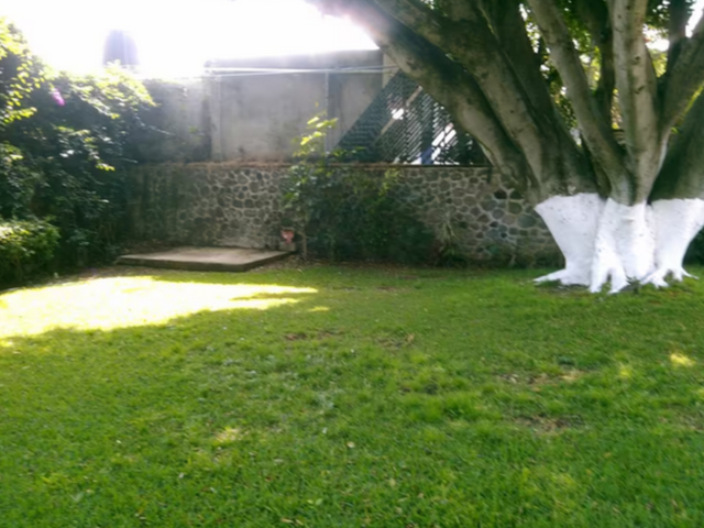 place photo 30