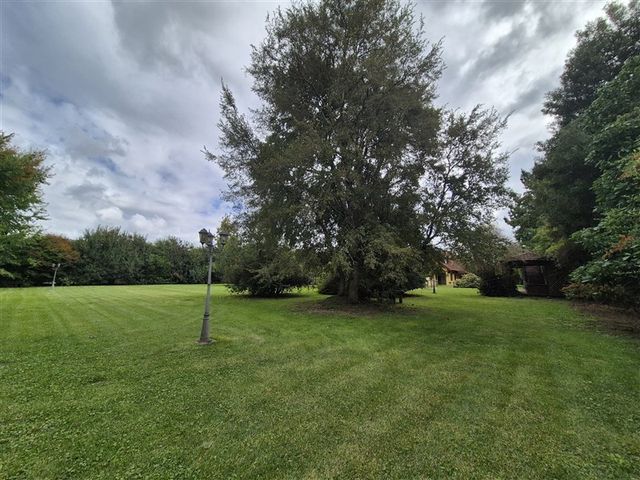 place photo 31