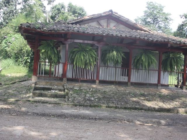 place photo 17