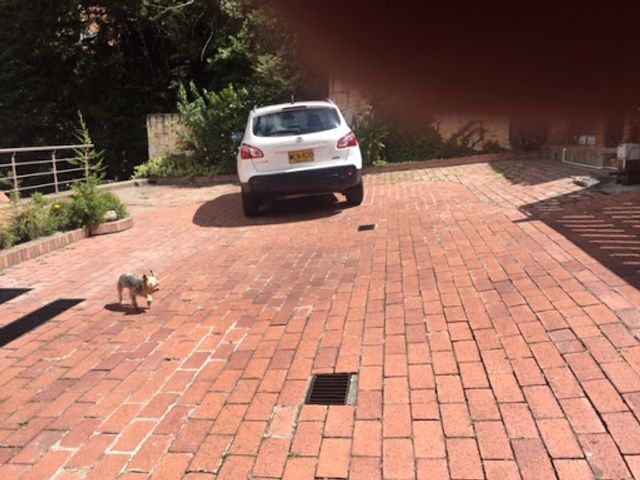 place photo 20