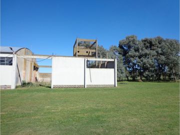place photo 9