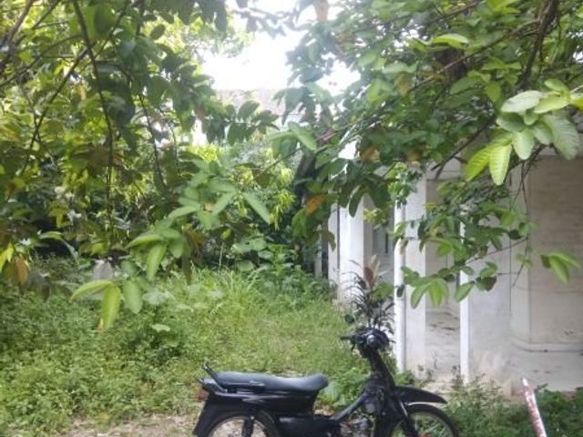 place photo 12