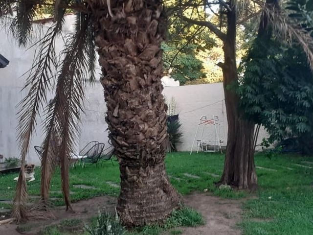 place photo 24