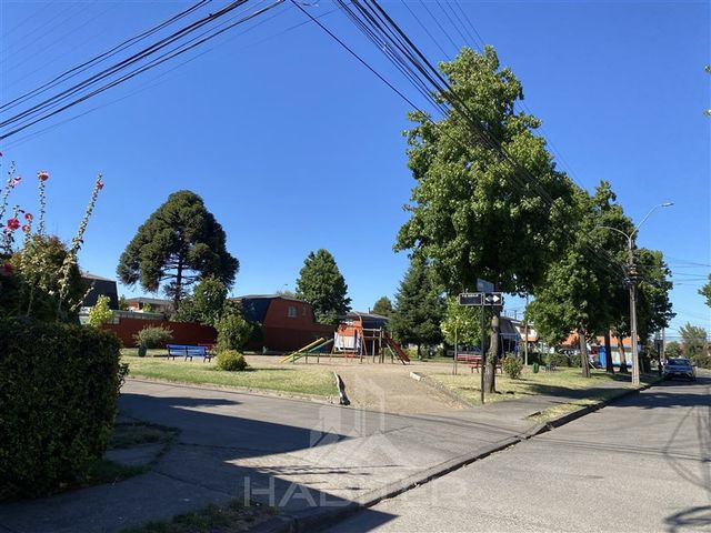 place photo 34