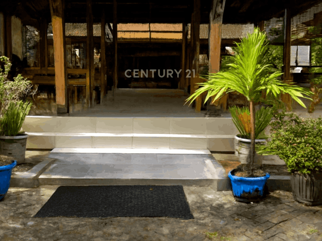 place photo 3