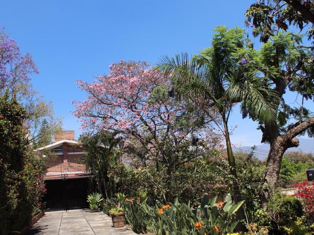 place photo 37