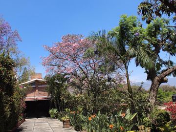 place photo 37