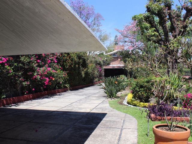 place photo 36