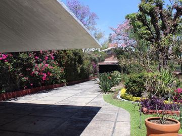 place photo 36