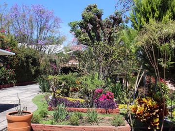 place photo 35