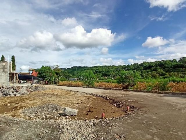 place photo 6