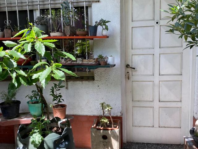 place photo 29