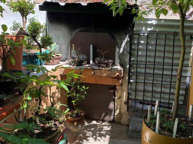 place photo 26