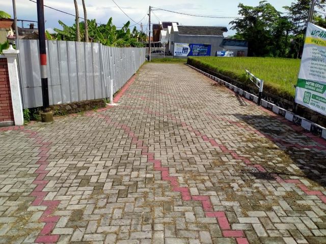 place photo 5
