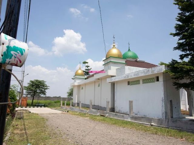 place photo 11