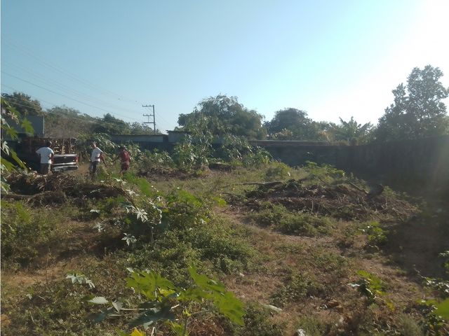 place photo 23